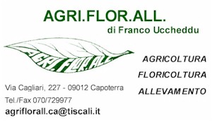 Agri.Flor.All. Di Franco Uccheddu